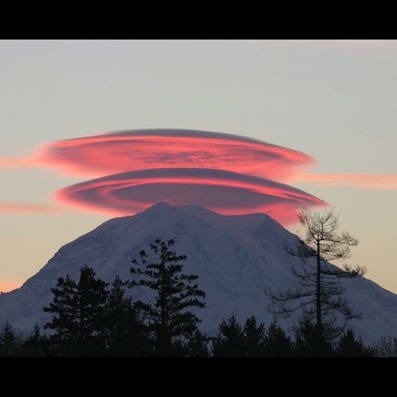 Meet your Posher, Kyle - Picture 1 of 1